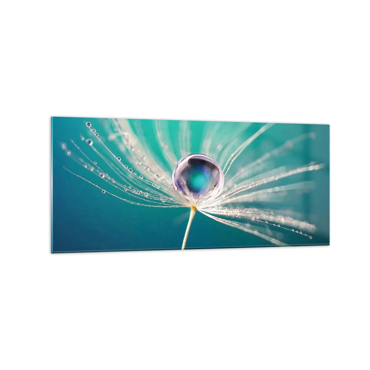 Quadro su vetro - Macro di una goccia d'acqua su un delicato seme di tarassaco - 120x50cm - Attimo mistico - Decorazione murale moderna per soggiorno e camera da letto ARTTOR
