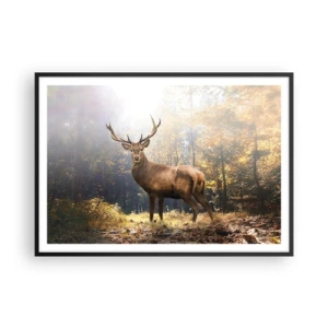 Poster in cornice nera - Cervi nella foresta autunnale con raggi di sole - 100x70cm - Nella piena maestà - Decorazione murale moderna per soggiorno e camera da letto ARTTOR