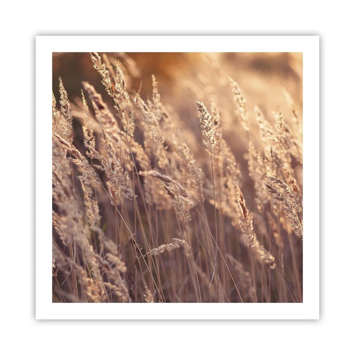 Poster - Pronti a salutare l'autunno - 60x60 cm