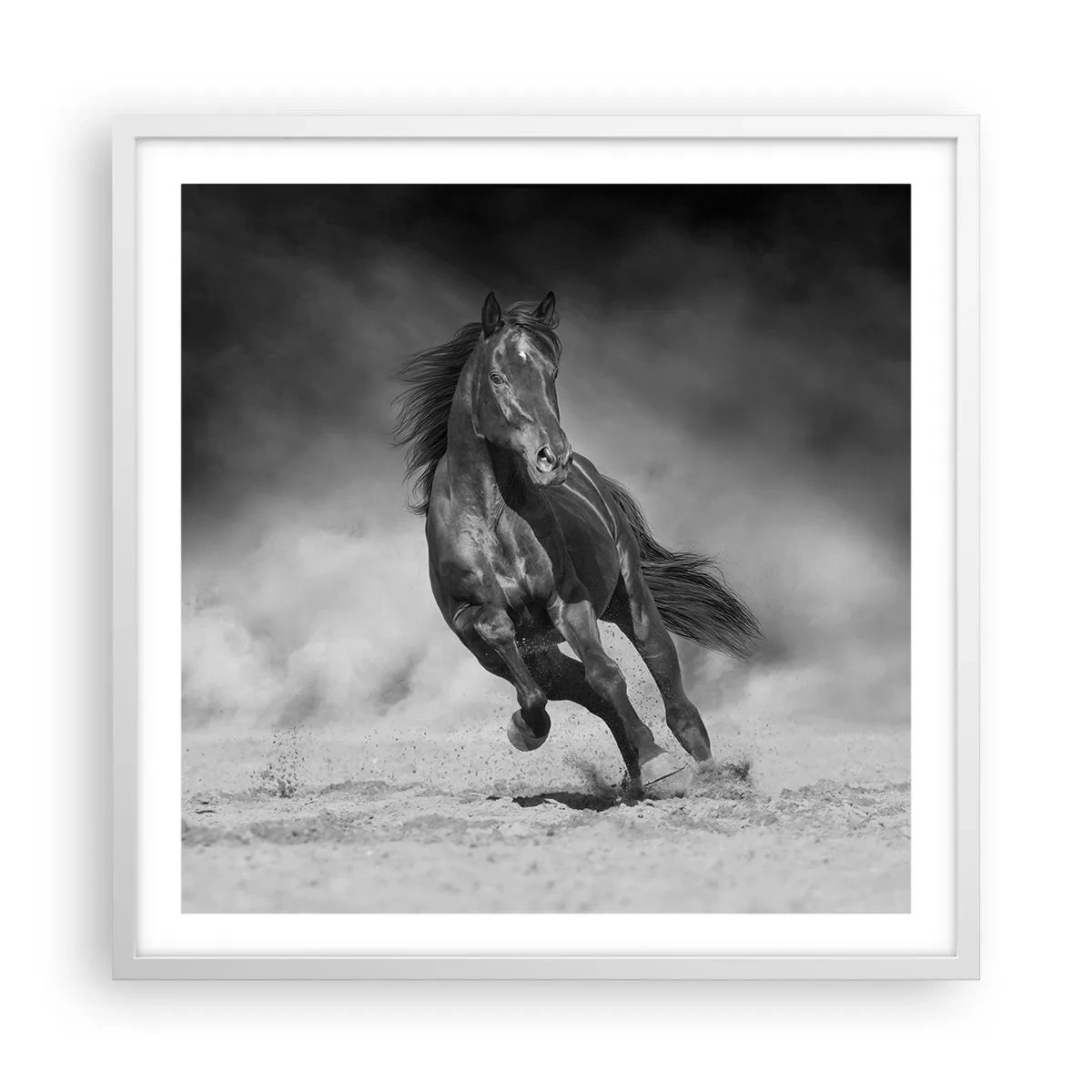 Poster in cornice bianca - Degno dell'emiro - 60x60 cm