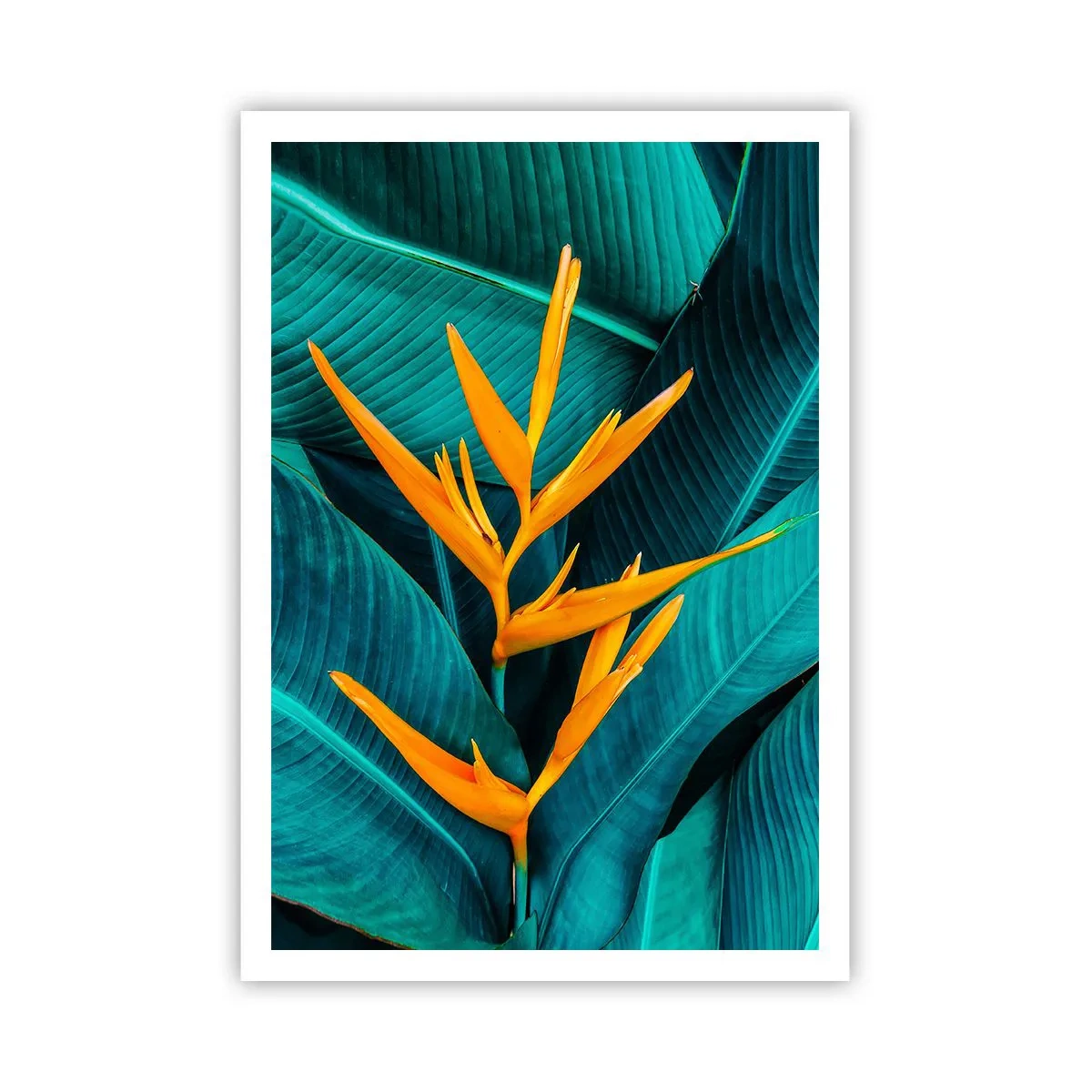 Poster - Il fiore dell'Eden - 70x100 cm