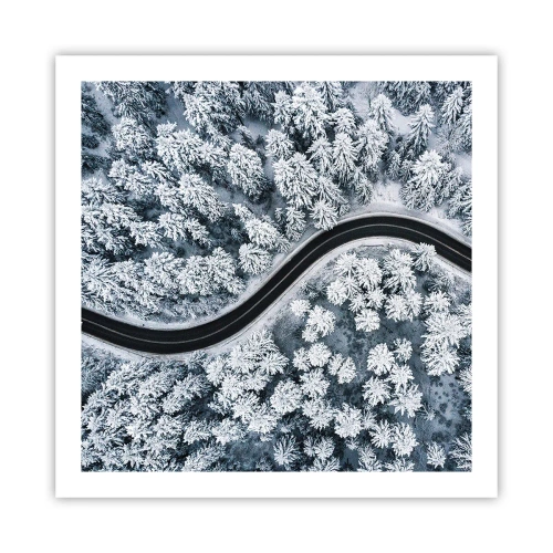 Poster - Attraverso il bosco invernale - 60x60 cm