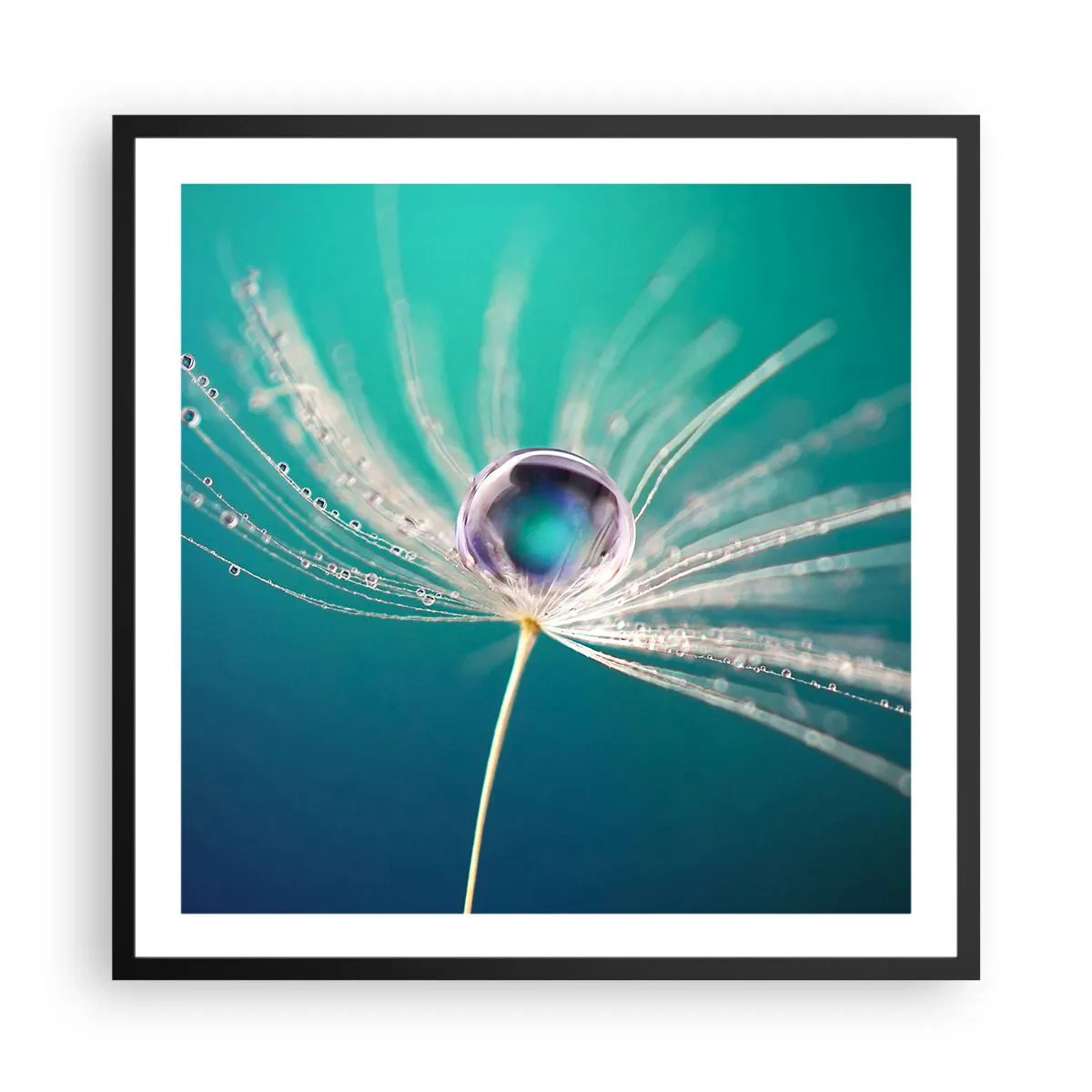 Poster in cornice nera - Attimo mistico - 60x60 cm