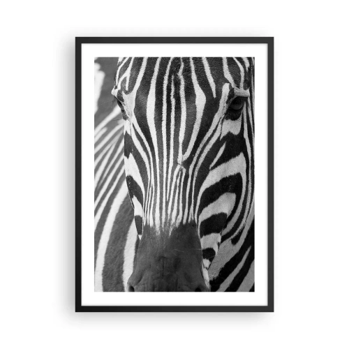 Poster in cornice nera - Ritratto di una zebra in una composizione in bianco e nero - 50x70cm - Il mondo è in bianco e nero - Decorazione murale moderna per soggiorno e camera da letto ARTTOR
