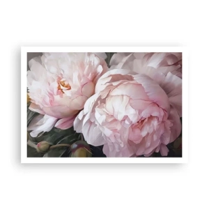 Poster - Delicate peonie rosa in piena fioritura - 100x70cm - L'attimo della fioritura - Decorazione murale moderna per soggiorno e camera da letto ARTTOR