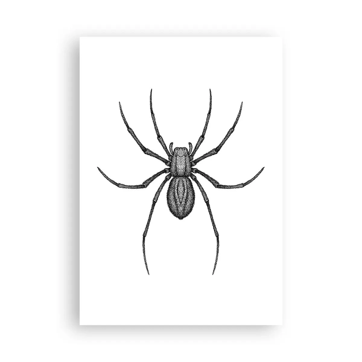 Poster - Precisione inquietante - 70x100 cm