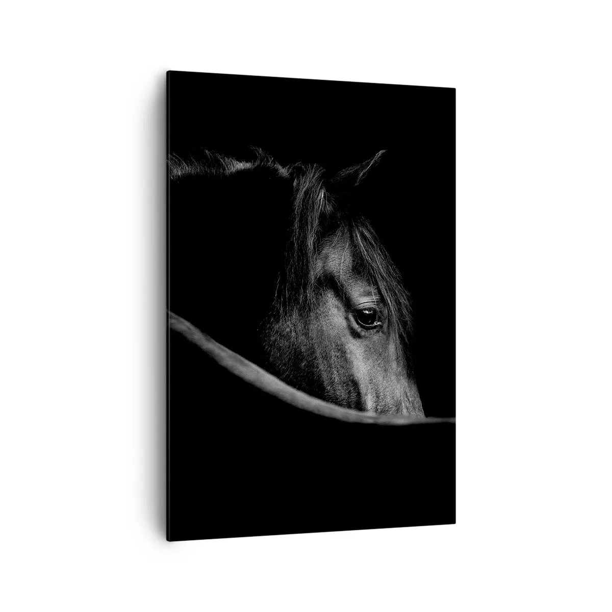 Quadro su tela - Stampe su Tela - Ritratto in bianco e nero di un cavallo con un sottile gioco di luci e ombre su uno sfondo scuro. - 70x100cm - Il principe nero - Decorazione murale moderna per soggiorno e camera da letto ARTTOR