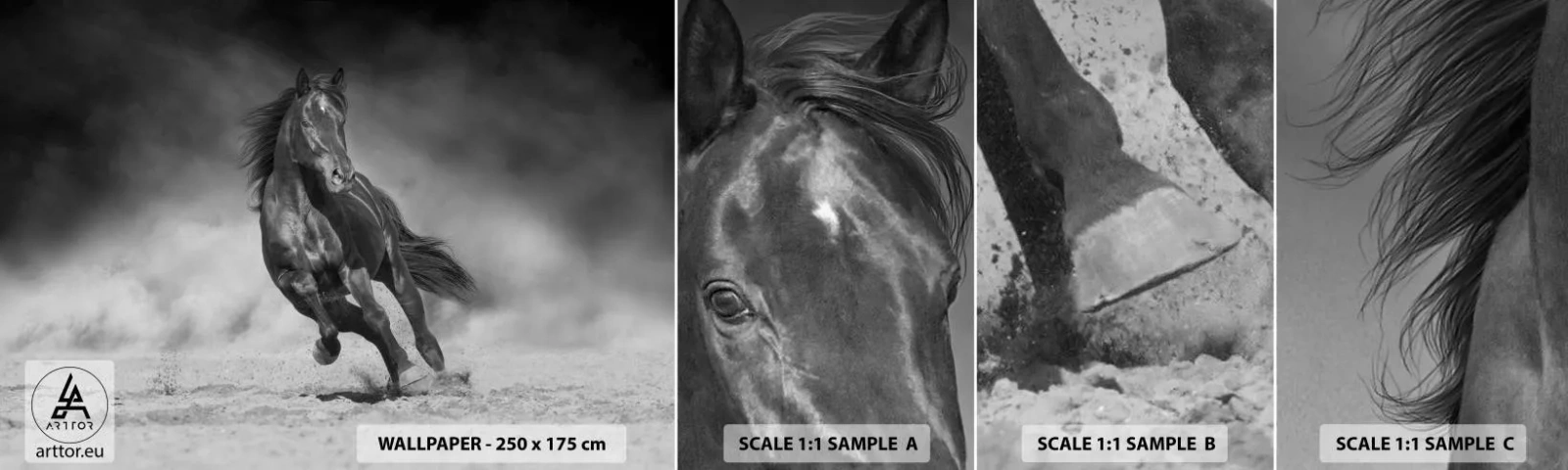 Campione di Fotomurale Adesivo Deluxe Sticker - Degno dell'emiro - Cavallo, Animali, Natura - 100x30 cm