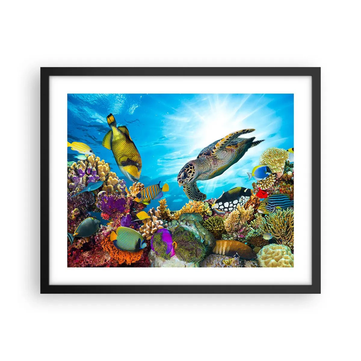 Poster in cornice nera - Passeggiata corallina - 50x40 cm