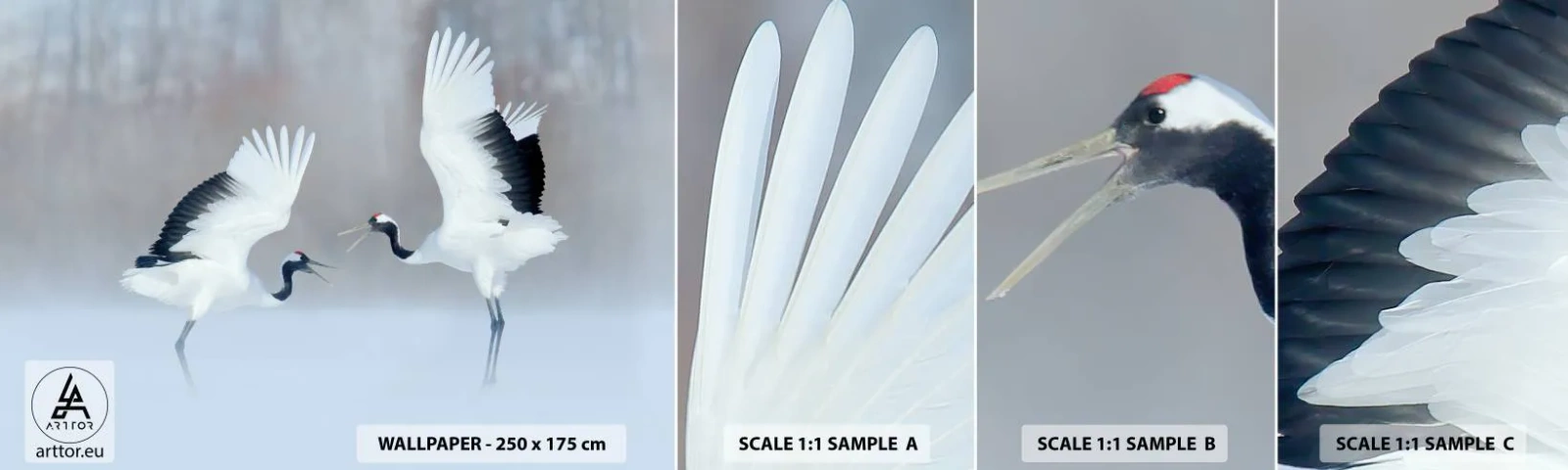 Campione di Fotomurale Adesivo Deluxe Sticker - Danza nella nebbia - Inverno, Uccello, Natura - 100x30 cm