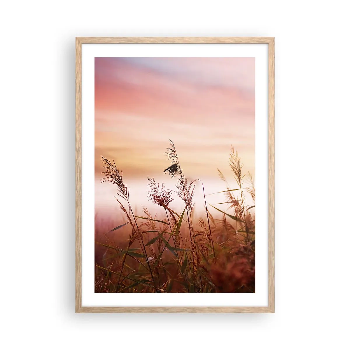 Poster in cornice rovere chiaro - Aquiloni, denti di leone, vento - 50x70 cm