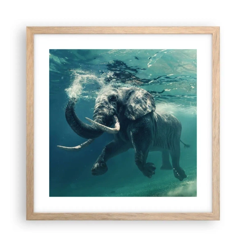 Poster in cornice rovere chiaro - Tutti amano nuotare - 40x40 cm
