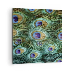 Quadro su tela - Stampe su Tela - Lo sguardo del pavone - 60x60 cm