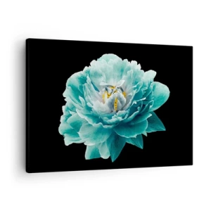 Quadro su tela - Stampe su Tela - Fiore di peonia turchese su sfondo nero - 70x50cm - Petali blu e oro - Decorazione murale moderna per soggiorno e camera da letto ARTTOR