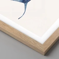 Rovere chiaro