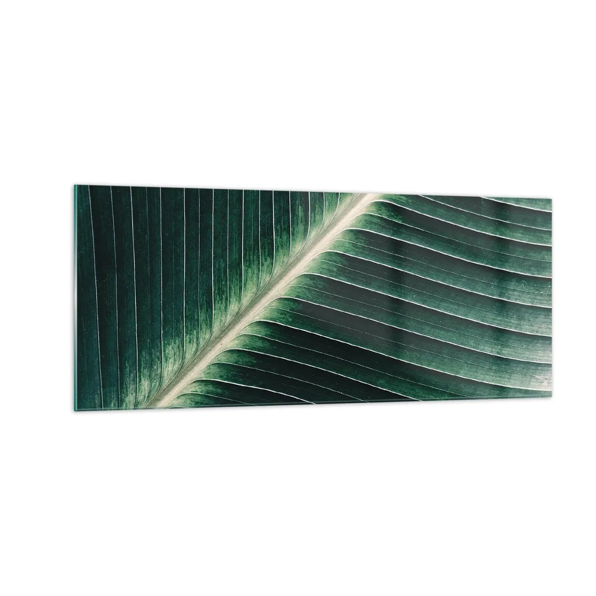 Quadro su vetro - Il ritmo della natura - 100x40 cm