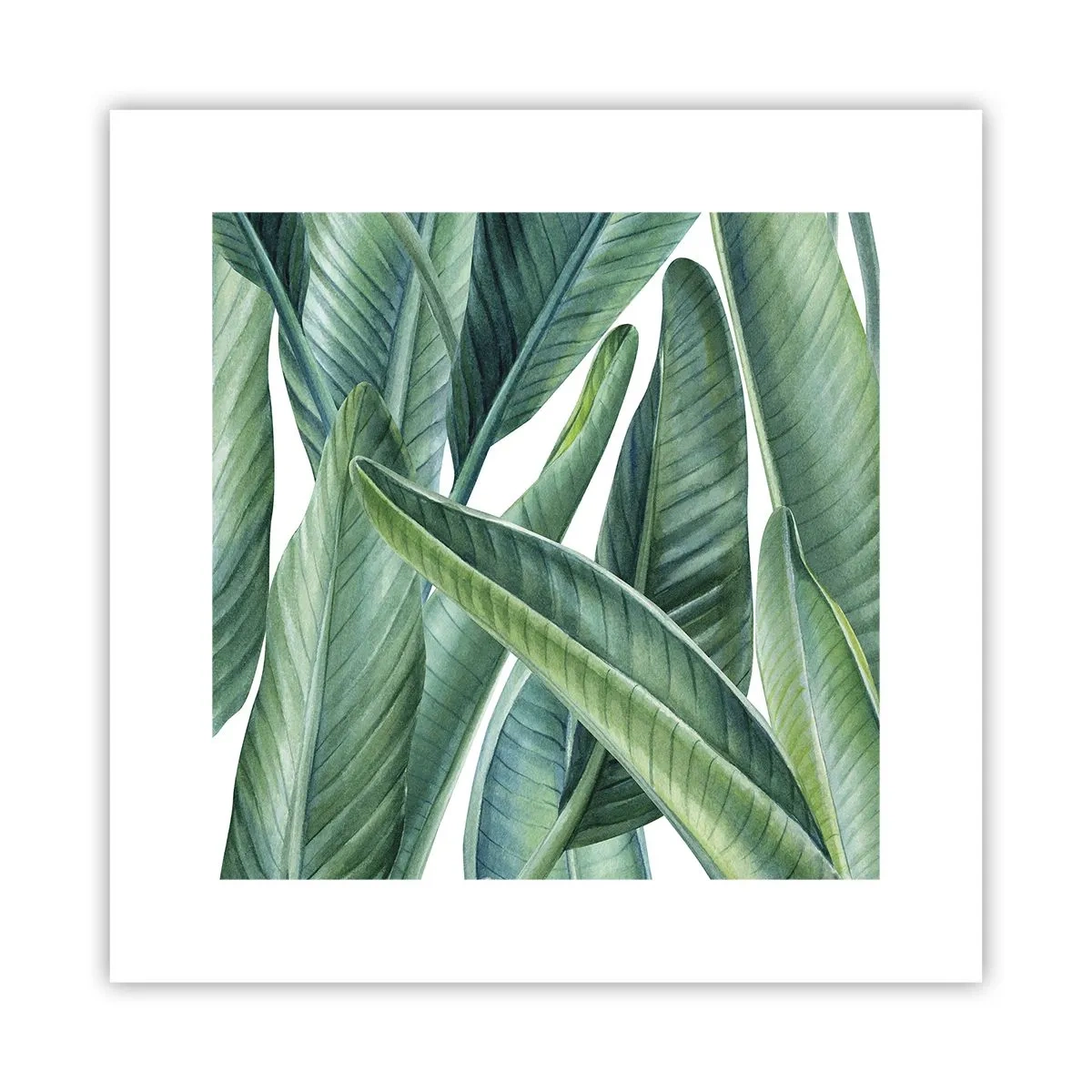 Poster - Il verde in sé - 30x30 cm