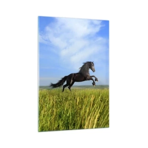 Quadro su vetro - Un cavallo nero che corre contro un cielo azzurro e un prato verde - 70x100cm - Coinvolgente manifesto di libertà - Decorazione murale moderna per soggiorno e camera da letto ARTTOR