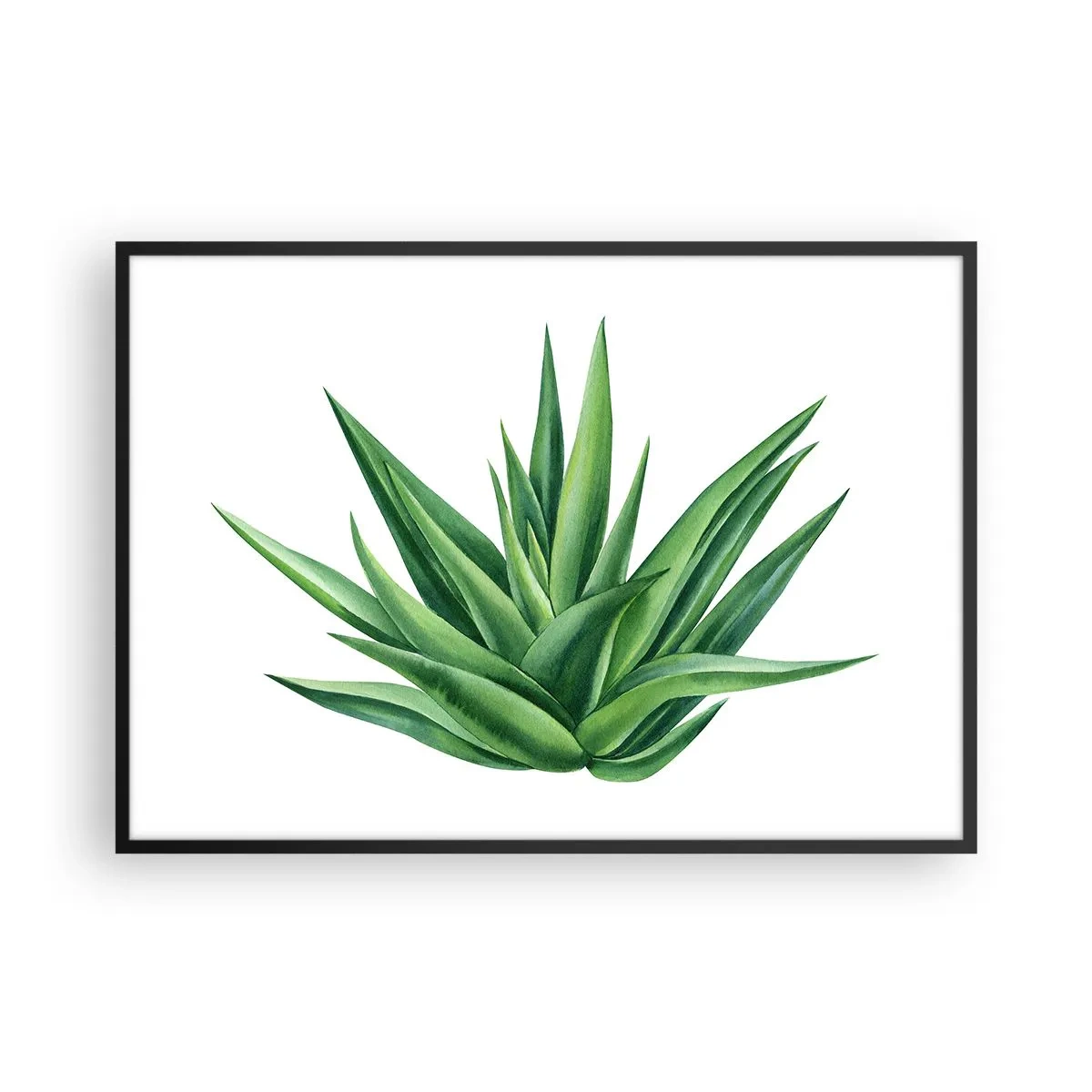 Poster in cornice nera - Una pianta verde succosa su uno sfondo bianco - 100x70cm - Verde - forza - vita - Decorazione murale moderna per soggiorno e camera da letto ARTTOR