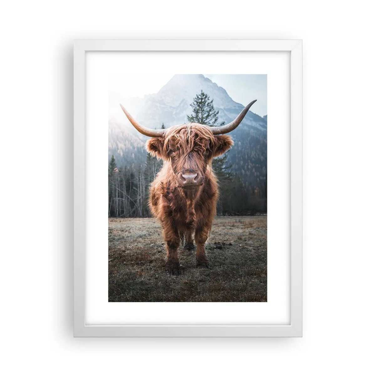 Poster in cornice bianca - Saluti dal prato montano - 30x40 cm