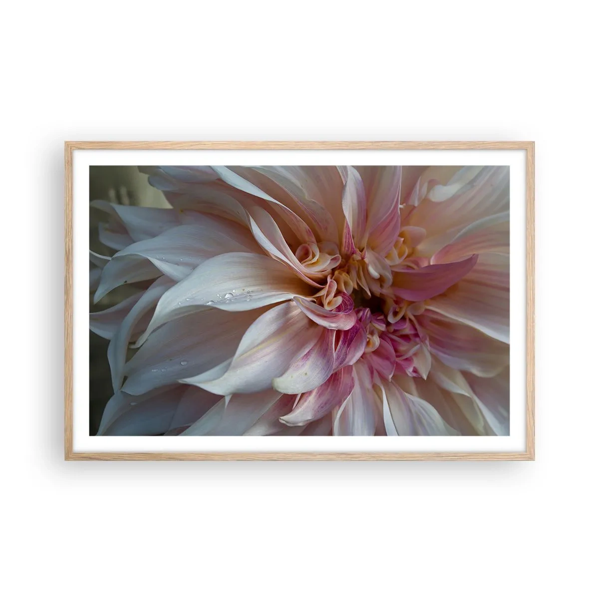 Poster in cornice rovere chiaro - Freschezza in fiore - 91x61 cm