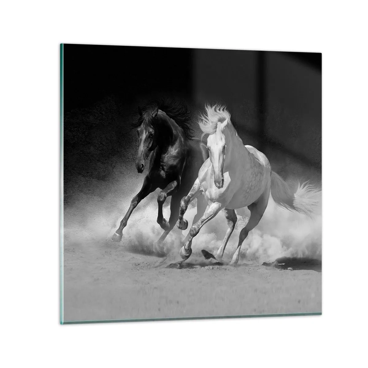 Quadro su vetro - Il galoppo della libertà - 40x40 cm