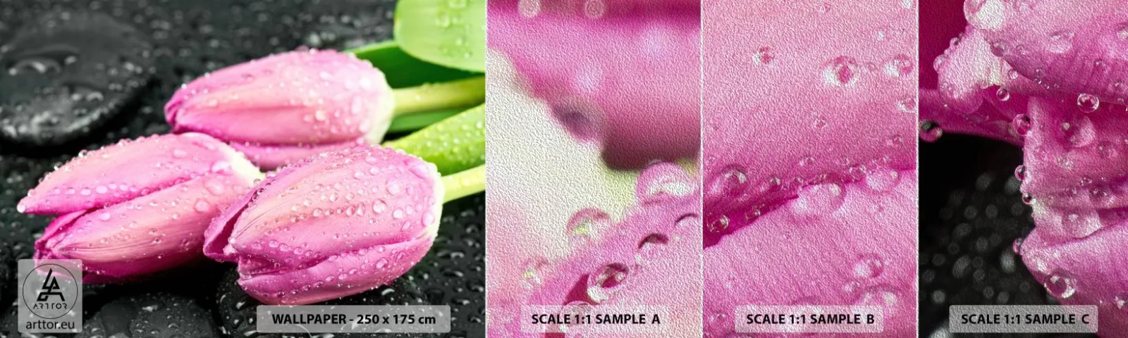 Campione di Fotomurale Premium Sand - Una terna lilla su pietra nera - Fiori, Tulipani, Mazzo di fiori - 100x30 cm