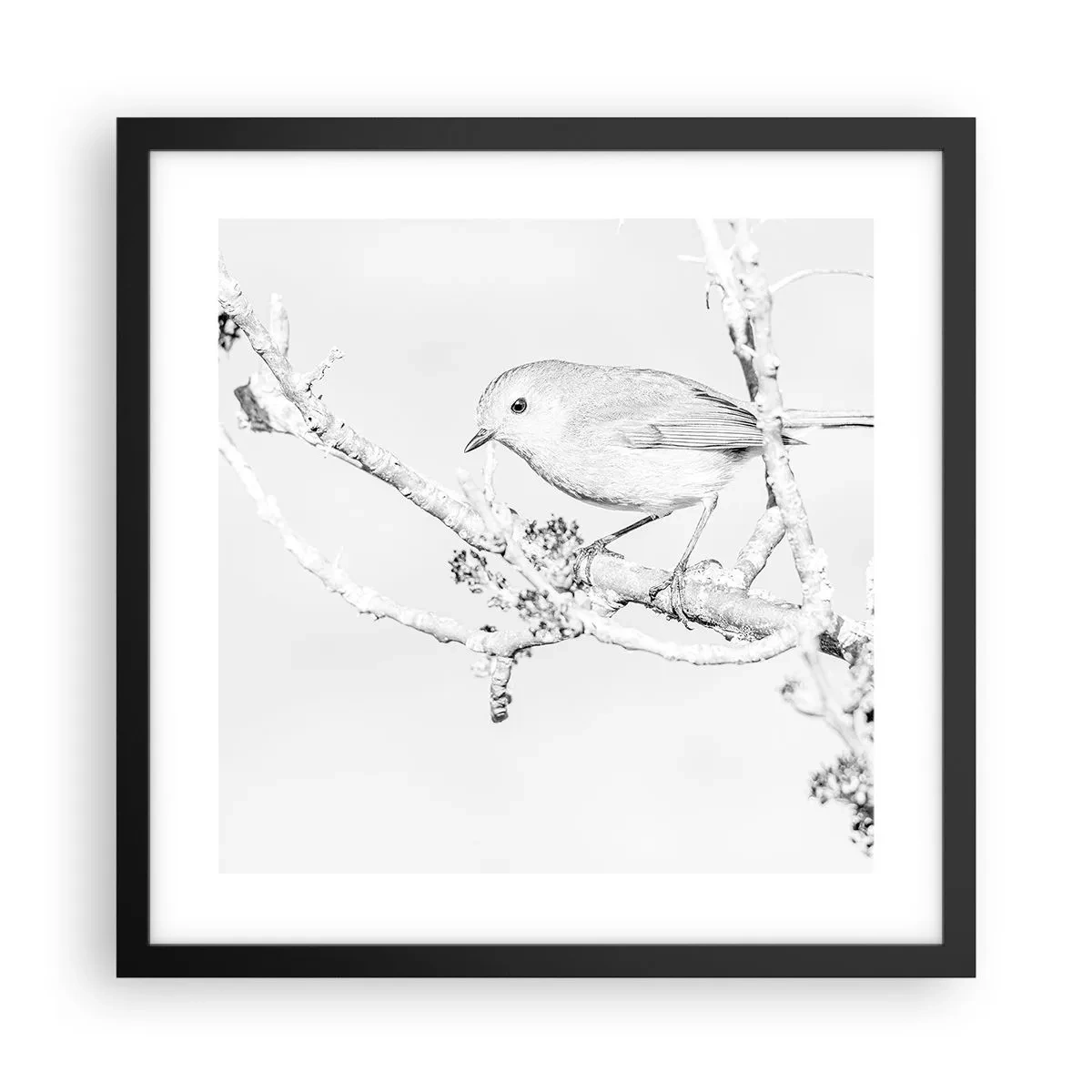 Poster in cornice nera - Mattino invernale - 40x40 cm