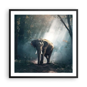 Poster in cornice nera - Tranquilla passeggiata - 60x60 cm