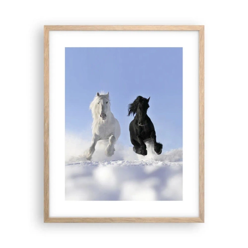 Poster in cornice rovere chiaro - Galoppo in bianco e nero - 40x50 cm