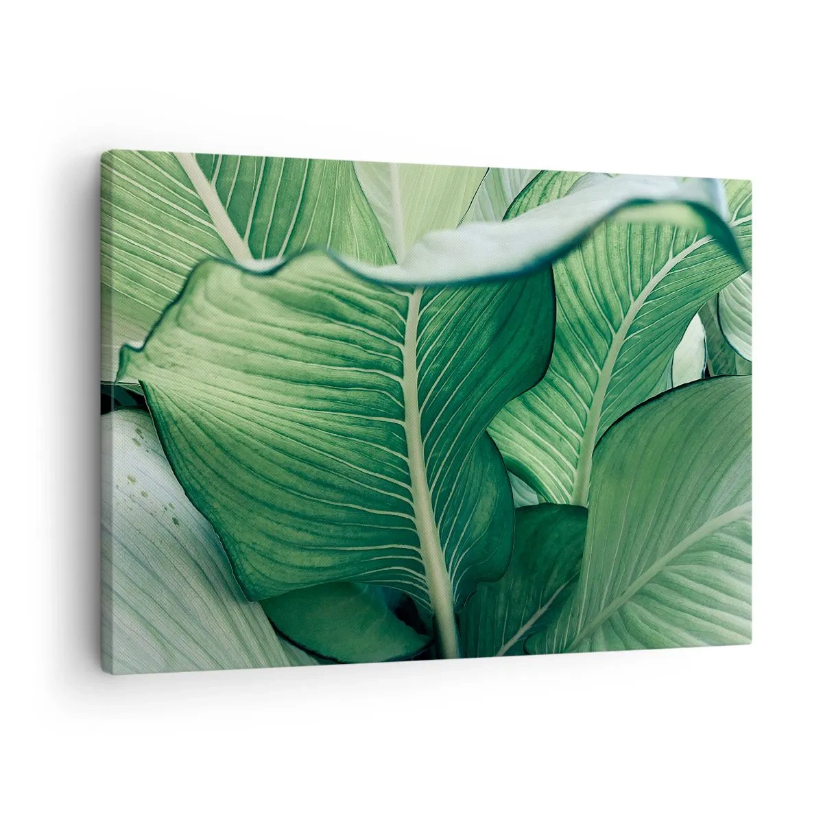 Quadro su tela - Stampe su Tela - Foglie verdi con dettagli e struttura espressivi - 70x50cm - Una vita intensamente verde - Decorazione murale moderna per soggiorno e camera da letto ARTTOR