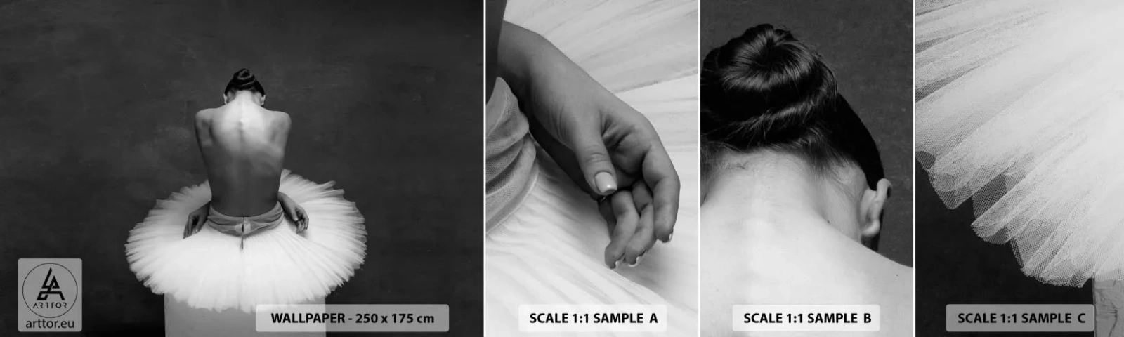 Campione di Fotomurale Adesivo Deluxe Sticker - Fiorisce adesso - Ballerina, Danza, Balletto - 100x30 cm