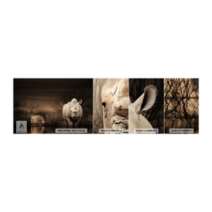 Campione di Fotomurale Adesivo Deluxe Sticker - Bianco contro la natura - Rinoceronte, Animali, Africa - 100x30 cm