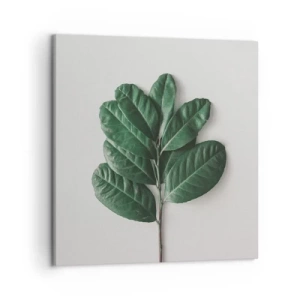 Quadro su tela - Stampe su Tela - Il disegno della natura stessa - 50x50 cm