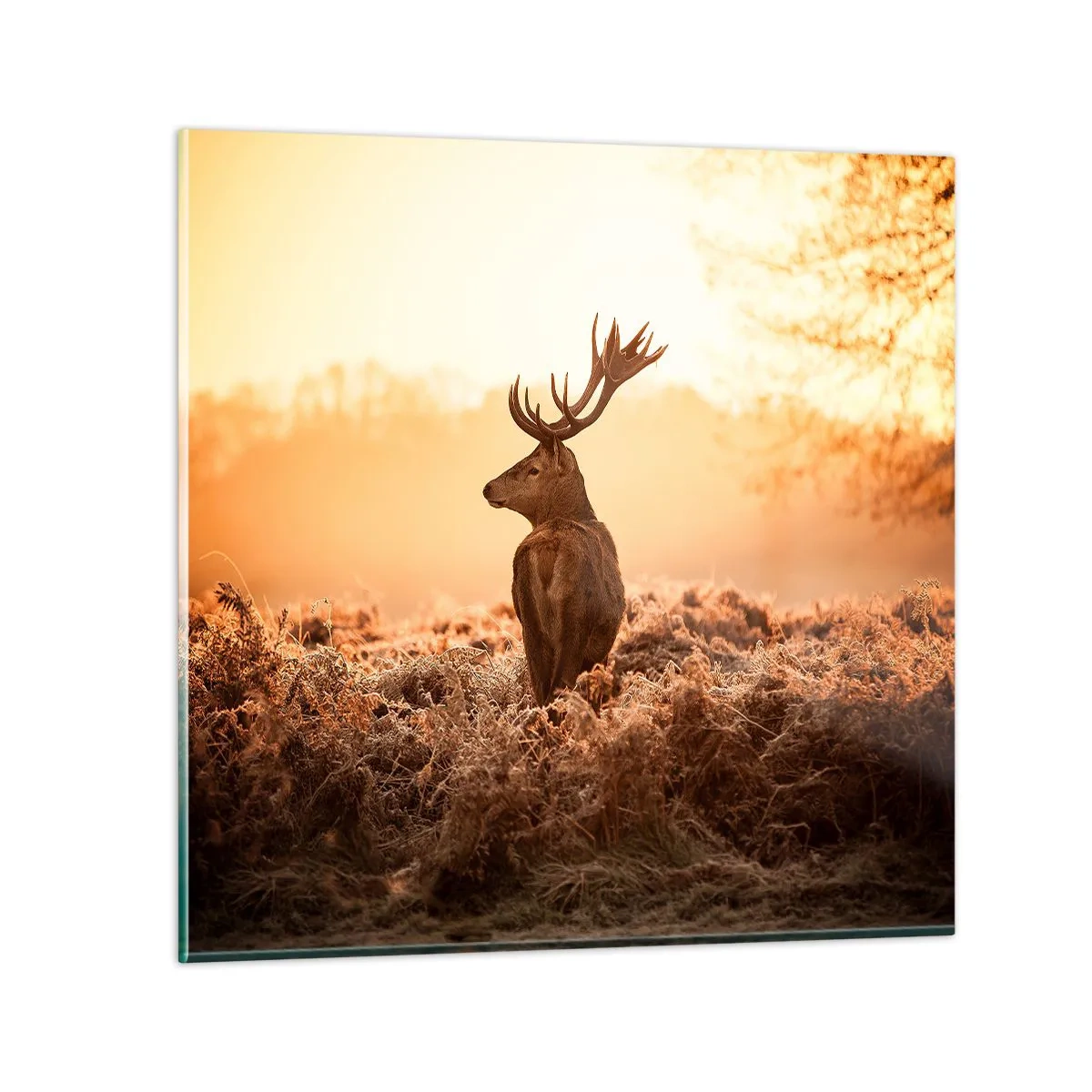 Quadro su vetro - Il signore sulle sue terre - 70x70 cm