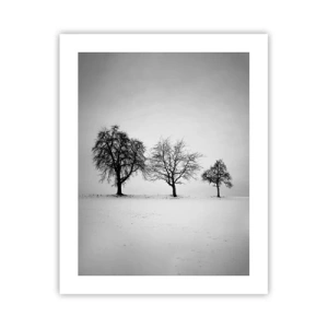 Poster - Cosa sognano? - 40x50 cm