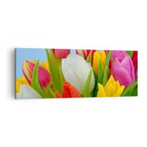 Quadro su tela - Stampe su Tela - Tulipani colorati ricoperti di gocce di rugiada su uno sfondo blu - 140x50cm - Fiori multicolori nella rugiada - Decorazione murale moderna per soggiorno e camera da letto ARTTOR