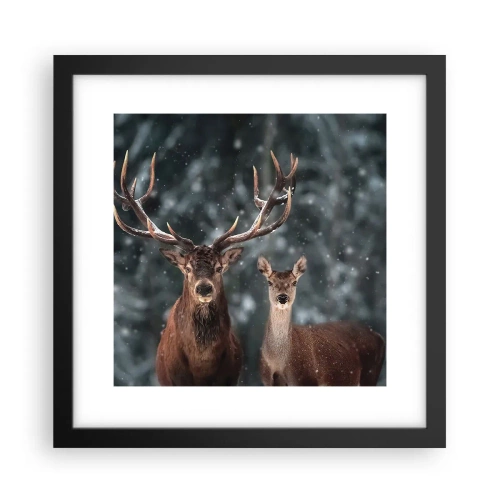 Poster in cornice nera - Il re della foresta con la consorte - 30x30 cm