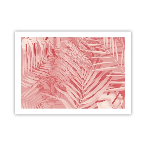 Poster - Concetto rosa - 70x50 cm