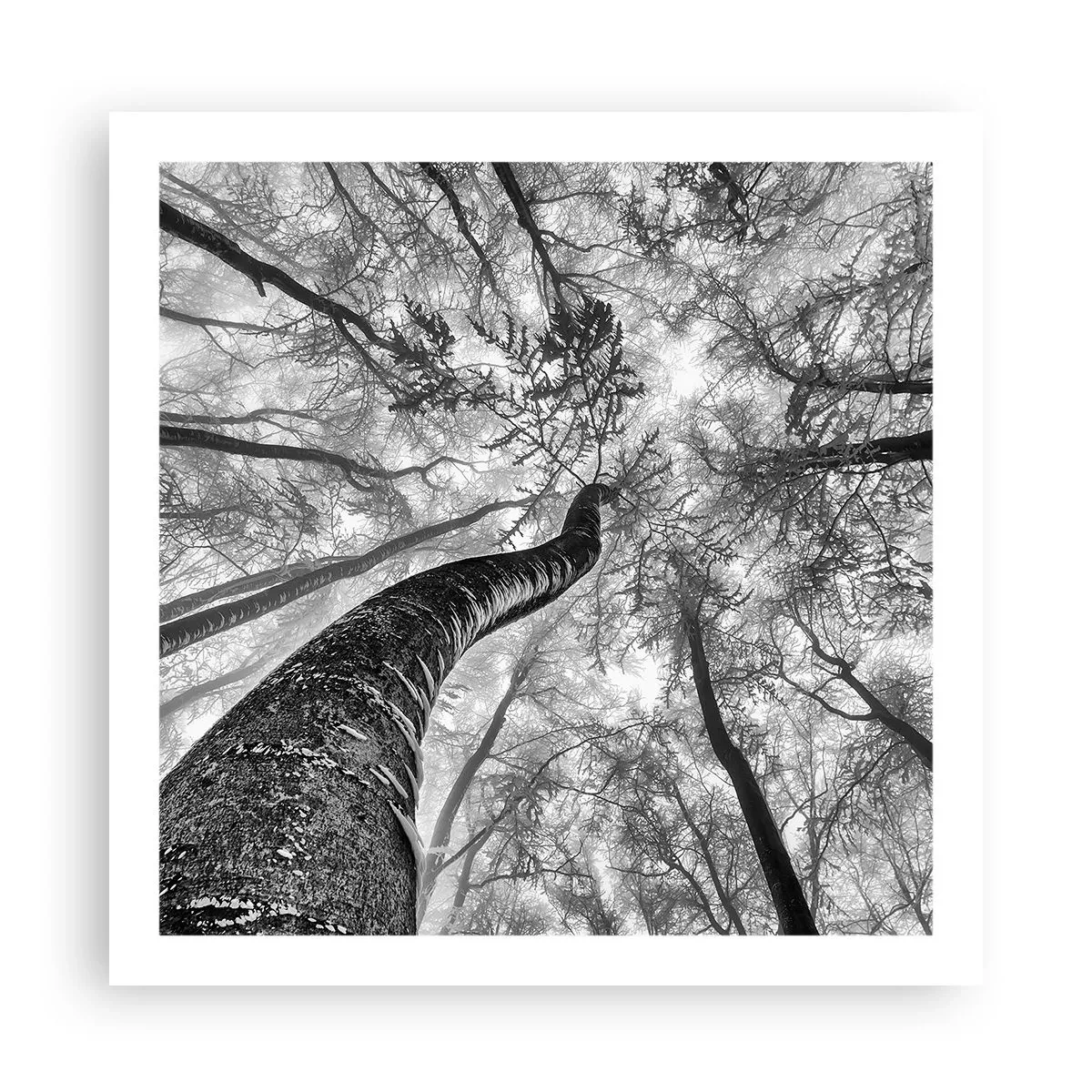 Poster - La corsa verso la luce - 60x60 cm