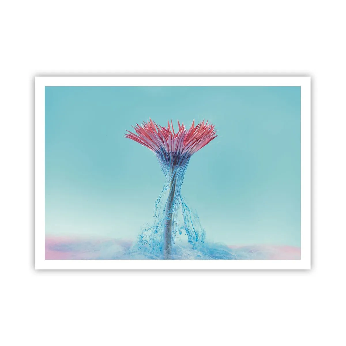 Poster - Un fiore rosa e blu in una composizione artistica su uno sfondo pastello - 100x70cm - L'abbraccio che ravviva - Decorazione murale moderna per soggiorno e camera da letto ARTTOR