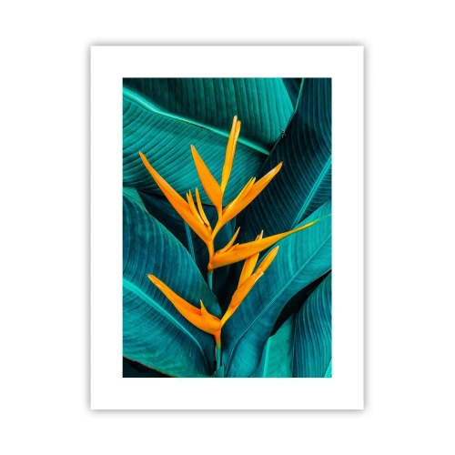 Poster - Il fiore dell'Eden - 30x40 cm