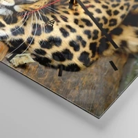 Quadrante con trattini