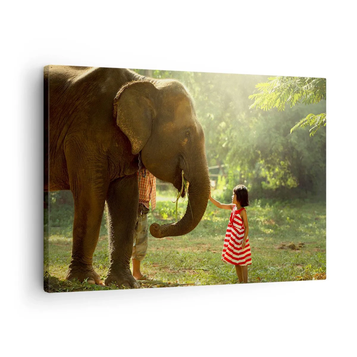 Quadro su tela - Stampe su Tela - Una ragazza con un vestito rosso tocca un elefante nella foresta. - 70x50cm - La forza dell'amicizia - Decorazione murale moderna per soggiorno e camera da letto ARTTOR