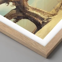 Rovere chiaro