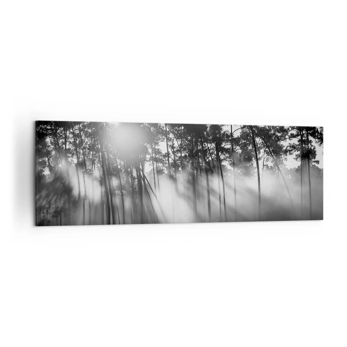 Quadro su tela - Stampe su Tela - Foresta bianca e nera nella nebbia mattutina - 160x50cm - Sole irrefrenabile - Decorazione murale moderna per soggiorno e camera da letto ARTTOR