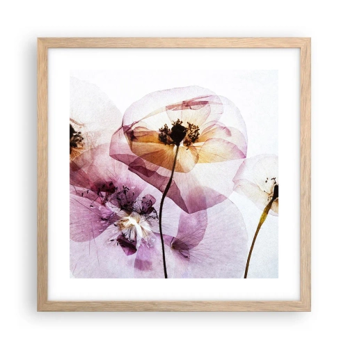 Poster in cornice rovere chiaro - Fiori trasparenti - 40x40 cm