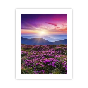 Poster - Il profumo dei fiori freschi del campo - 40x50 cm