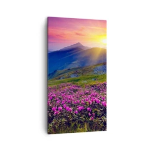 Quadro su tela - Stampe su Tela - Odore di mugo e profumo di erbe - 45x80 cm