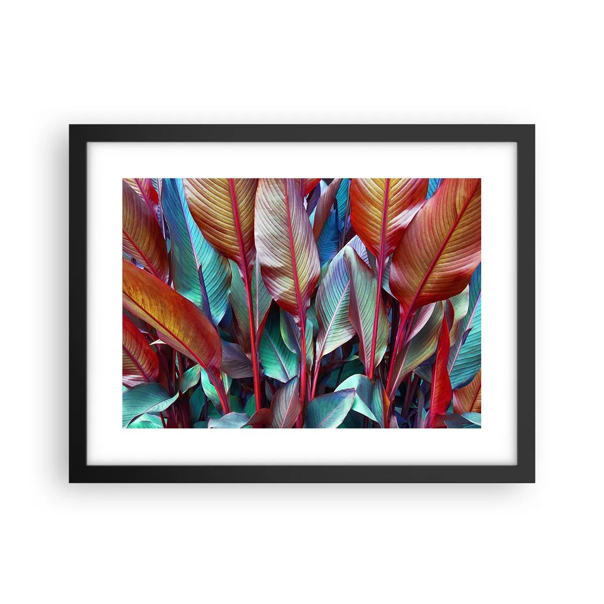 Poster in cornice nera - Selva colorata - 40x30 cm